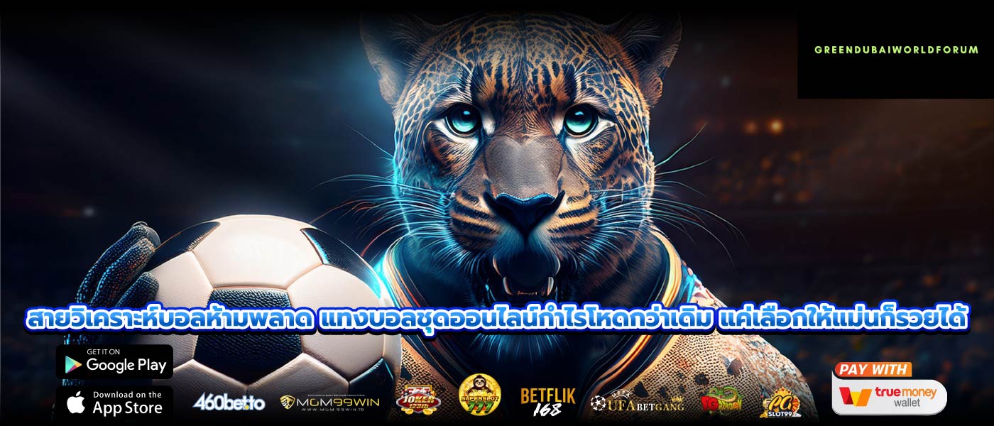 สายวิเคราะห์บอลห้ามพลาด แทงบอลชุดออนไลน์กำไรโหดกว่าเดิม แค่เลือกให้แม่นก็รวยได้