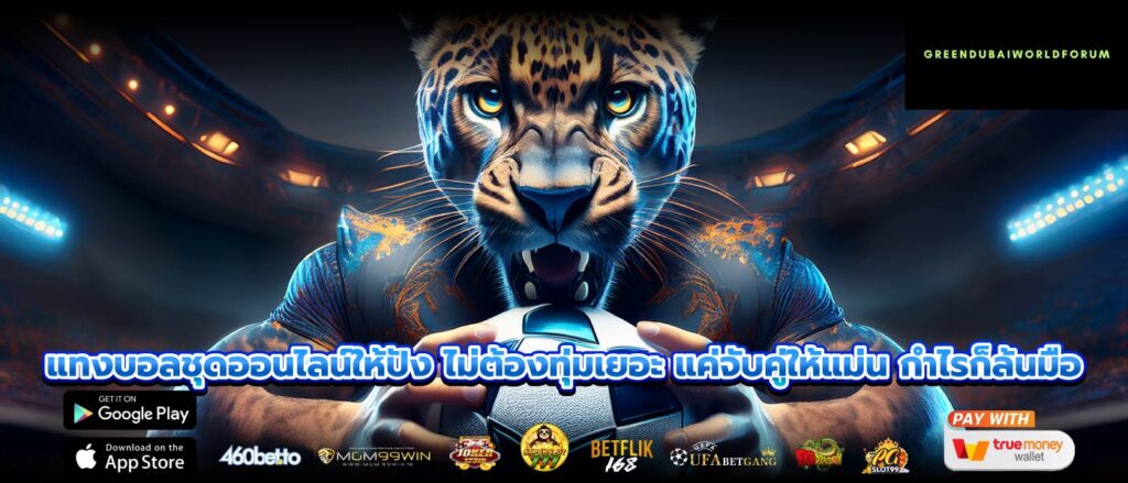 แทงบอลชุดออนไลน์ให้ปัง ไม่ต้องทุ่มเยอะ แค่จับคู่ให้แม่น กำไรก็ล้นมือ