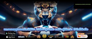 แทงบอลชุดออนไลน์ให้ปัง ไม่ต้องทุ่มเยอะ แค่จับคู่ให้แม่น กำไรก็ล้นมือ